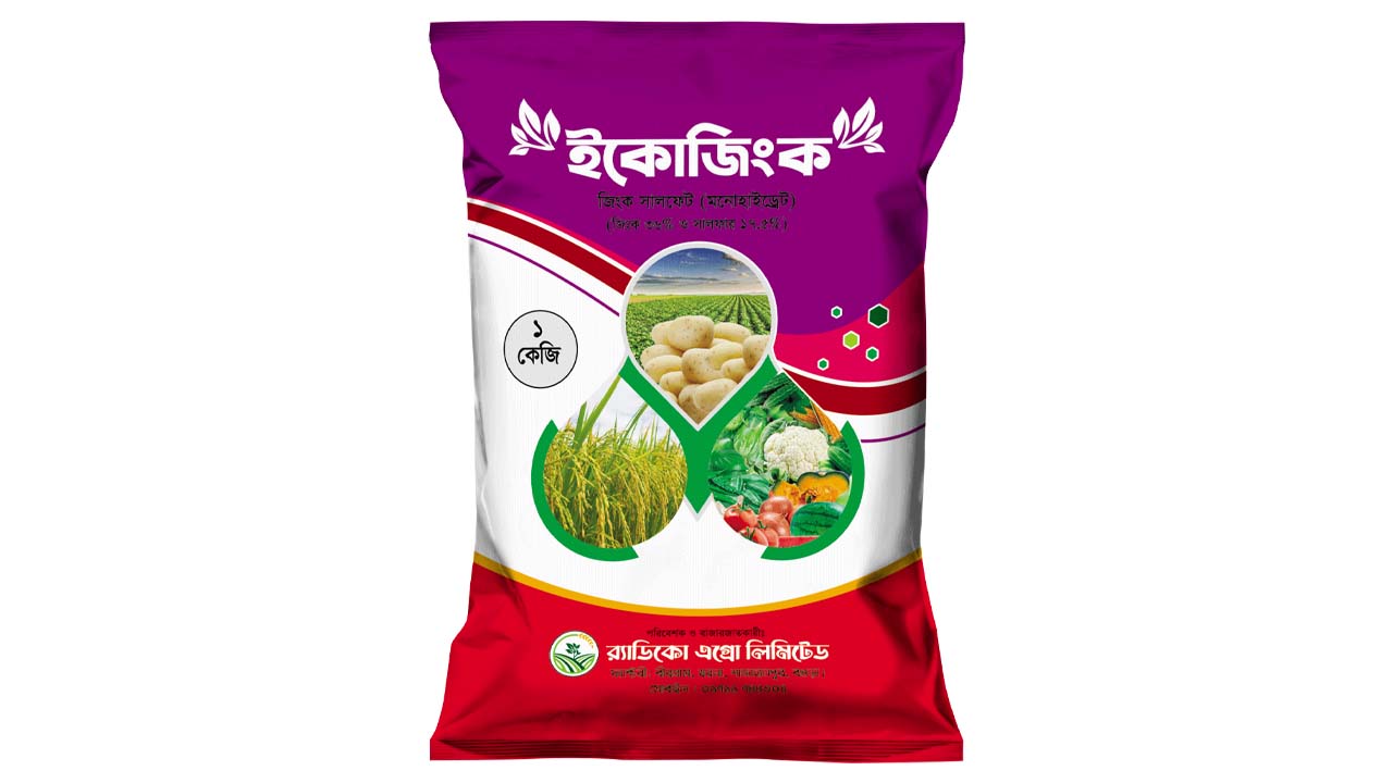 ইকোজিঙ্ক